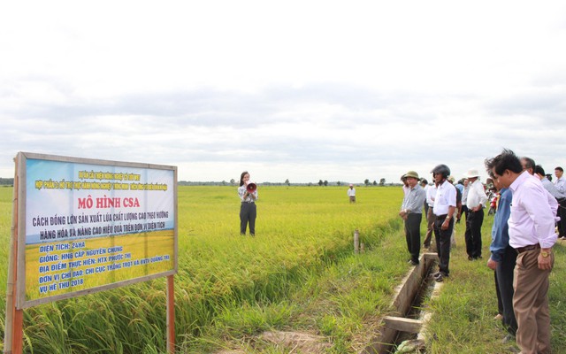 Hà Nội chuyển đổi hơn 40000ha đất lúa sang các mô hình sản xuất nông nghiệp