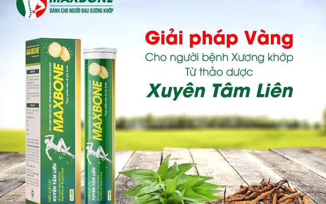 Viên sủi xuyên tâm liên có thực sự hiệu quả trong việc nâng cao thể trạng và bảo vệ gan không?