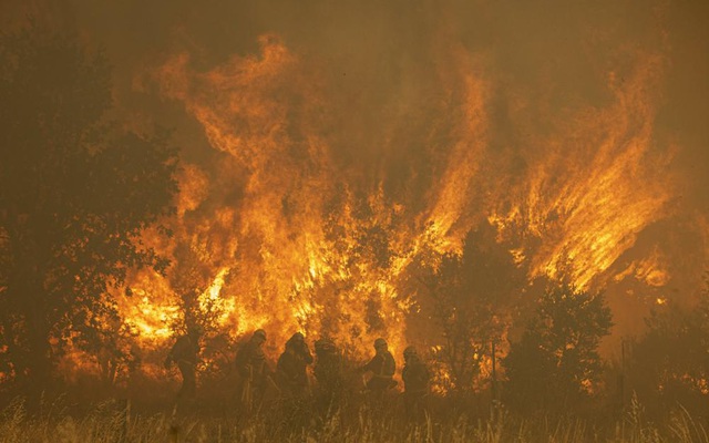 Cháy rừng nghiêm trọng tại Canada  VTVVN