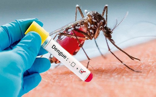 Cứu sống bệnh nhân sốt xuất huyết Dengue nặng có tổn thương đa cơ ...