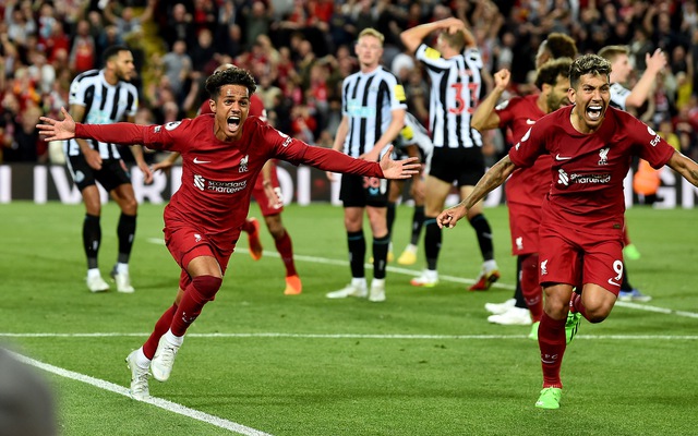 Ngoại hạng Anh điều tra trận Liverpool - Newcastle | VTV.VN