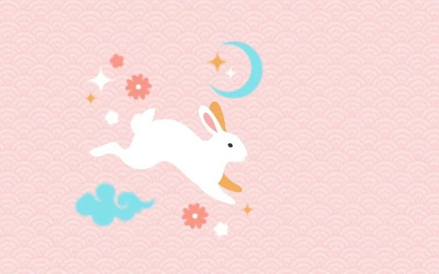 Hình ảnh hình nền con thỏ đẹp nhất dễ thương  VFOVN