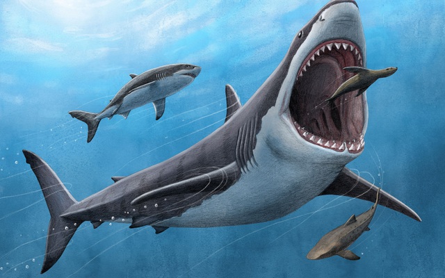 Đồ chơi cá mập Megalodon – quà tặng siêu thú vị cho bé yêu