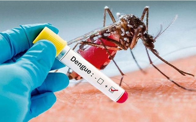 Đồng Nai ghi nhận ca tử vong do sốt xuất huyết đầu tiên trong năm 2024