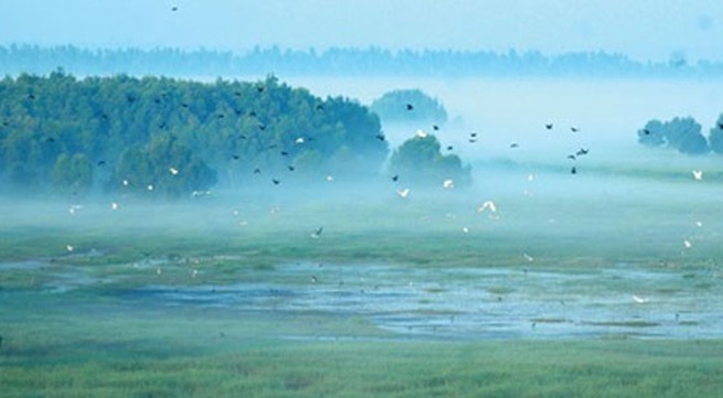 Bird sanctuary in Mekong Delta recognised as national heritage site