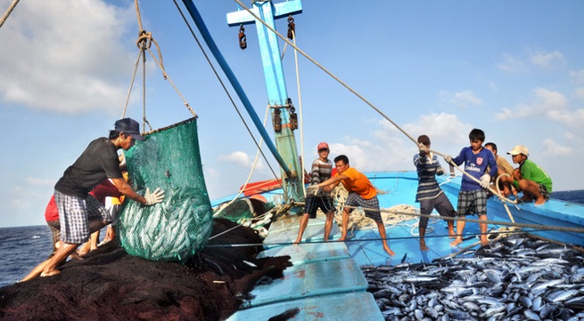 Binh Dinh province promotes offshore fishing