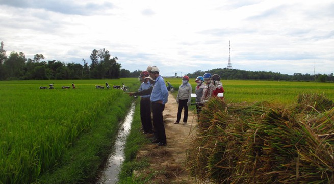 Vietnamese farmers prepare for int’l integration