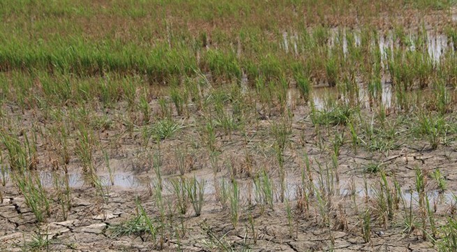 12.7m USD spent on drought and saltwater intrusion damage control