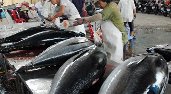 Binh Dinh applies Japanese fishing technology