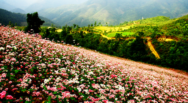 Beauty of Ha Giang promoted in Hanoi