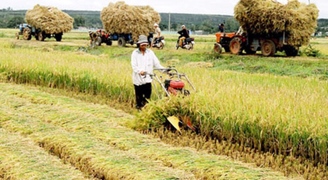 Agriculture sector reviewed after 9 months