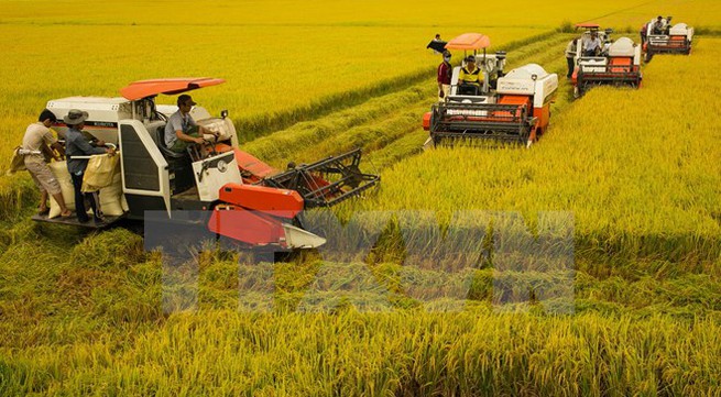 Mekong Delta to improve agricultural sector