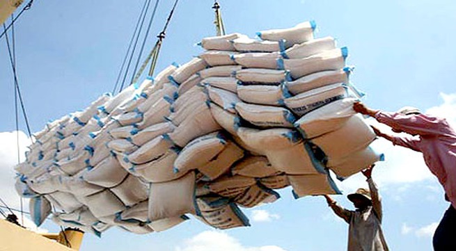 Rice exports to Africa achieve a 50% increase