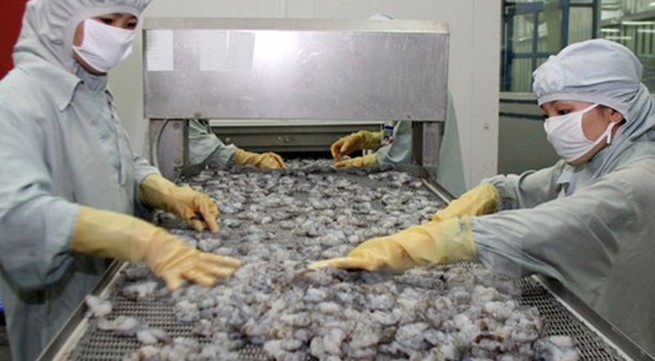 Safe shrimp production chain for export to be supervised