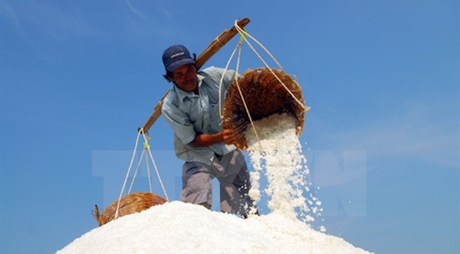 Deputy PM urges salt purchases to help farmers