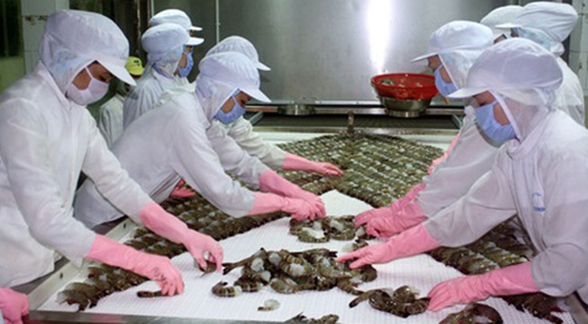 Vietnam’s shrimp exporters prepare for TPP
