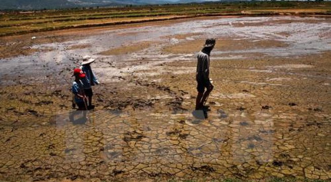 Mekong Delta loses 500ha annually