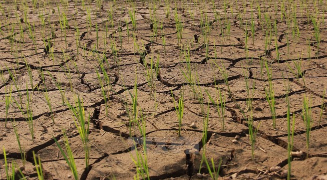Severe drought causes increased damage in central provinces