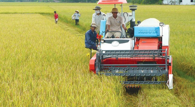 Agricultural firms need to make greater integration efforts