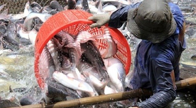 US House of Representatives to vote to end catfish import inspections