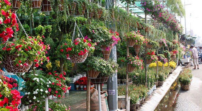 Ornamental plant festival takes place in Hanoi