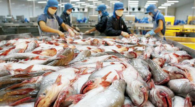 Tra fish supply chain proves effectiveness