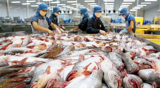 Tra fish to be traded online
