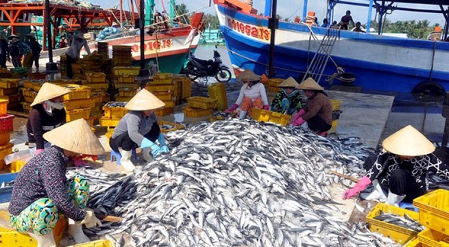 59 millions USD spent on supporting fishermen
