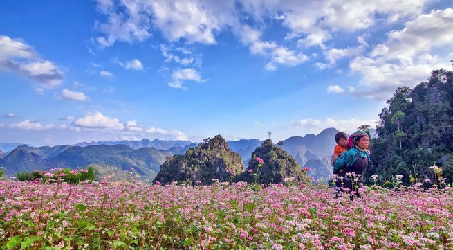 Ha Giang prepares for Hmong cultural day