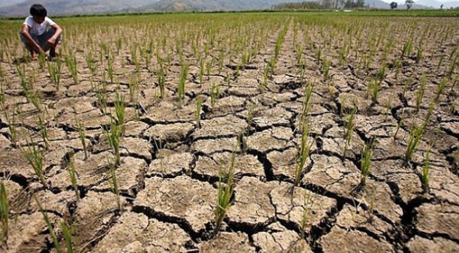 60 million people worldwide affected by El Nino phenomenon