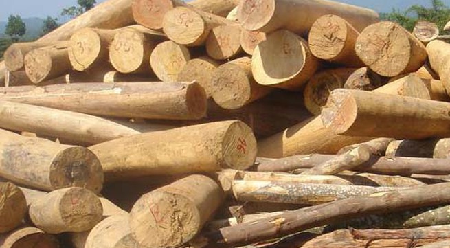 Timber smuggling targeted