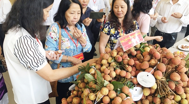 Project lychee launched in the south