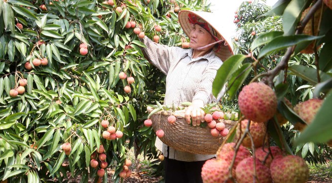 Vietnamese agriculture products claim position in ASEAN market