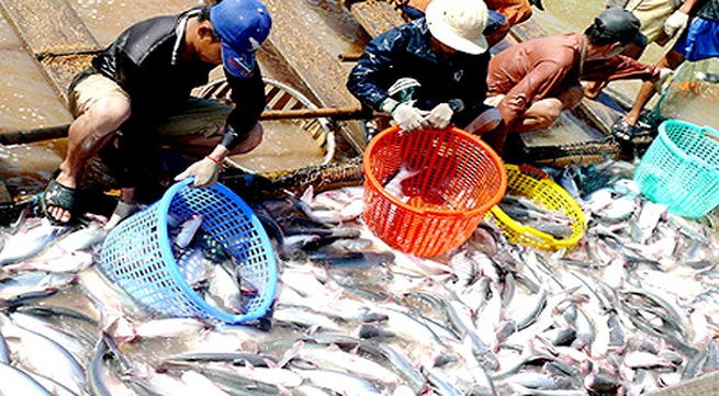 Vietnamese seafood exports declared safe