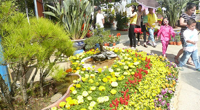 Dalat ready for 2015 flower festival