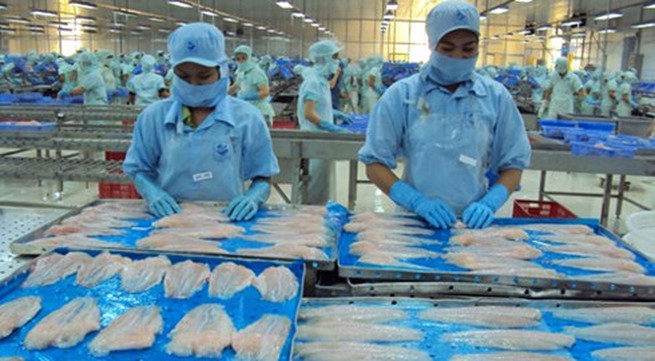 US Court of International Trade ruling will not affect Vietnamese tra fish exports