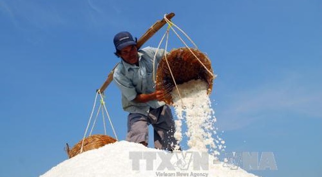 Firms to buy excess salt from City farms