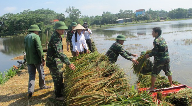Overcoming agricultural losses caused by floods