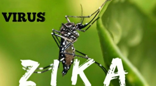 Zika virus yet to be found in Vietnam