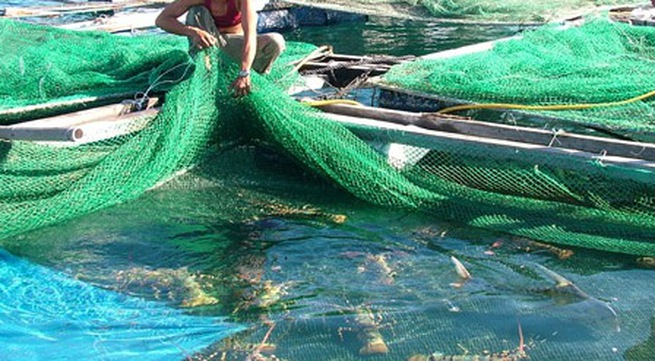 Support measures for lobster farming