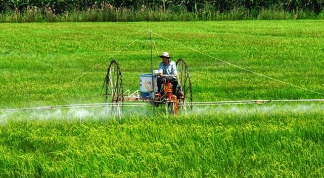 Thanh Hoa province yields success from organic farms
