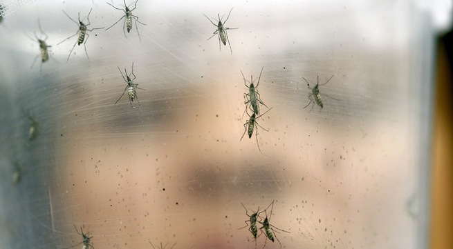 Vietnam detects 2 Zika infections