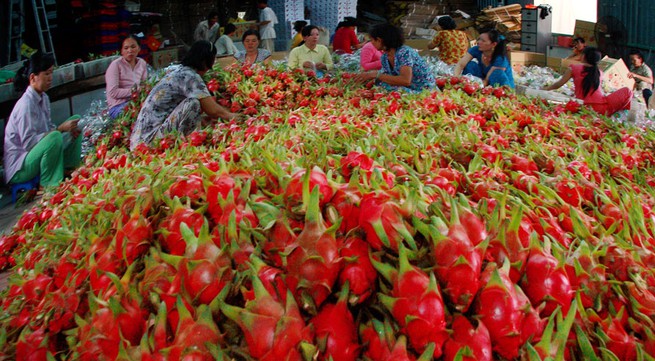 Vietnam’s agriculture exports to the US promoted