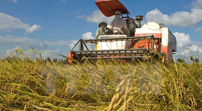 Opportunities for Vietnamese rice exporters from revised protocol