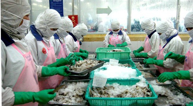 Scarce shrimp supply threatens shrimp exports