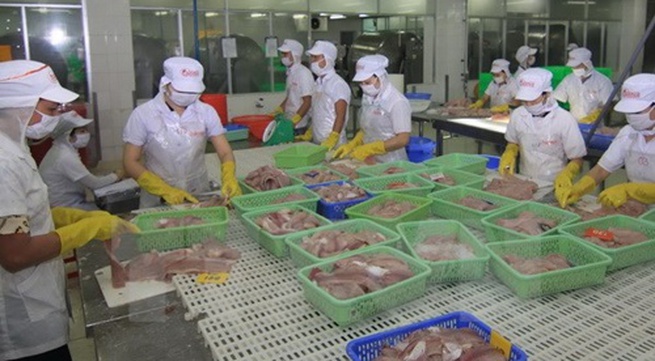 Vietnam’s Tra fish authorities to reduce regulatory complications for exporters