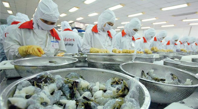 A good year for Vietnamese shrimp