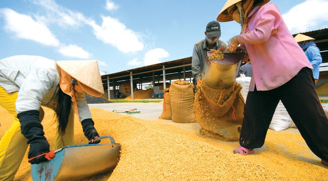 Vietnam hopeful about rice exports