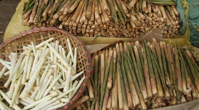 Mang dang (bamboo sprouts)