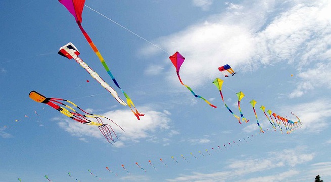 'Flying dreams' kite festival in HCMC